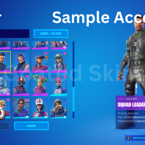 Basic Package Fortnite account for sale